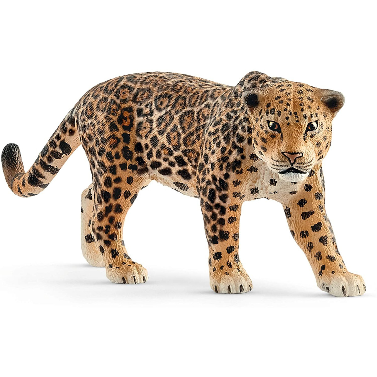 JAGUAR (5)-UNISEX