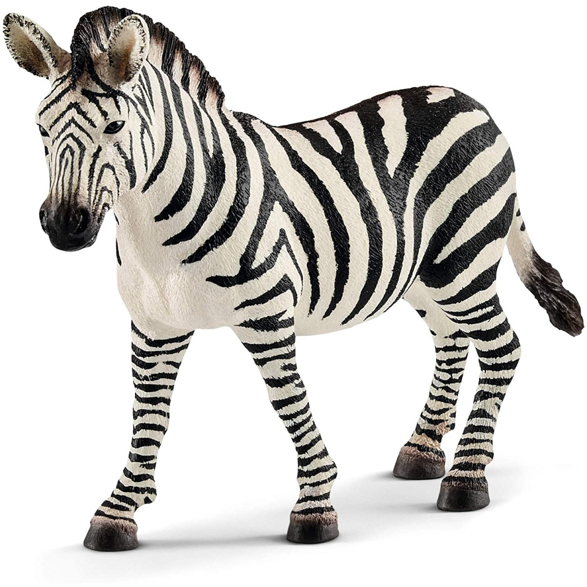 YOUNG FEMALE OF ZEBRA (5)-UNISEX