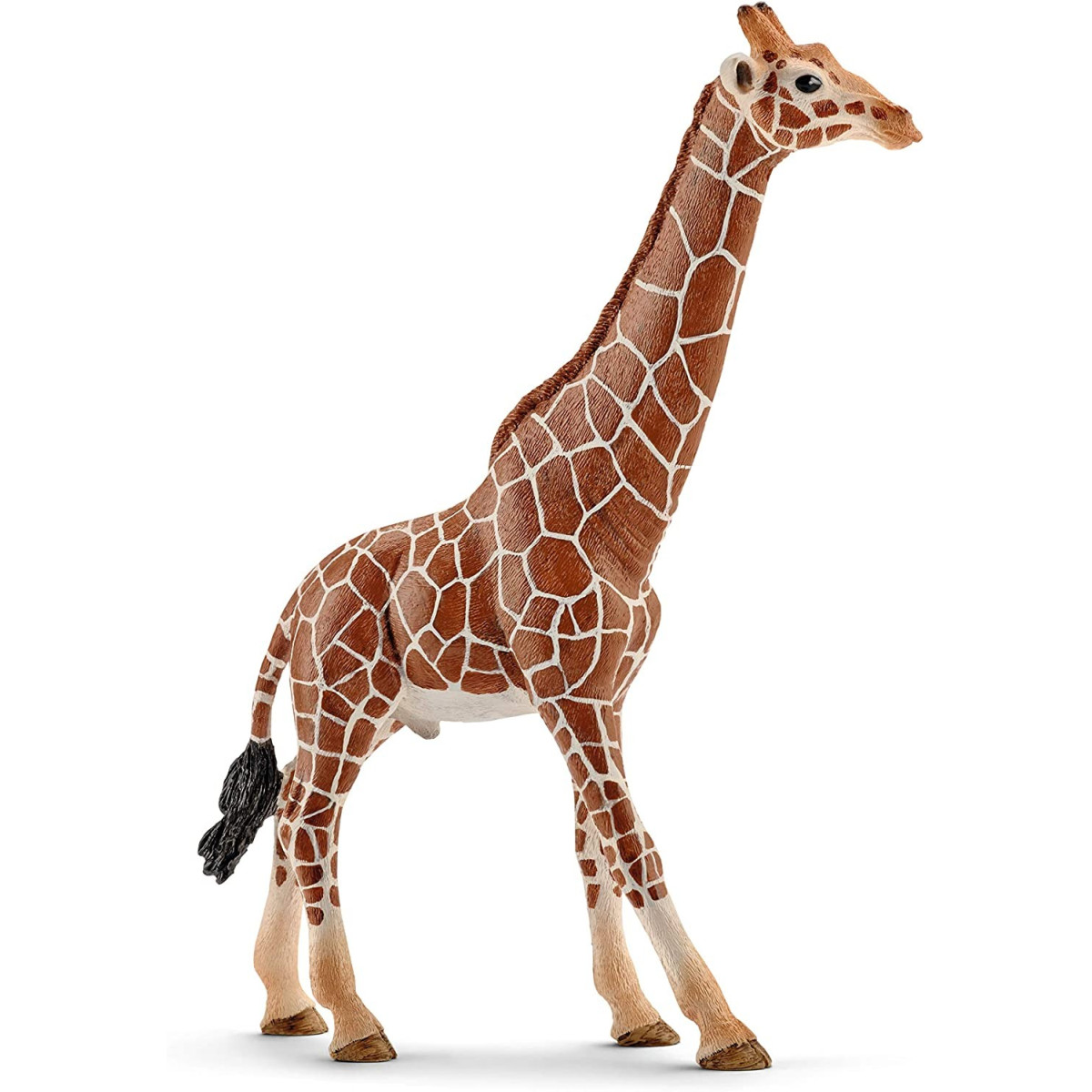 MALE GIRAFFE (5)-UNISEX