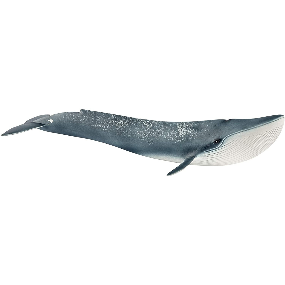 BLUE WHALE-UNISEX