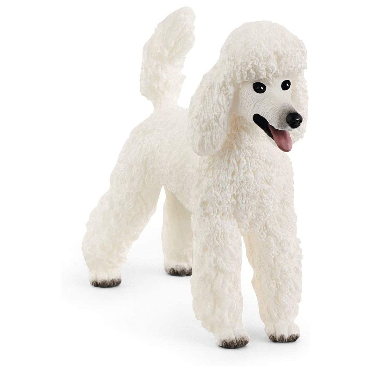 POODLE-UNISEX