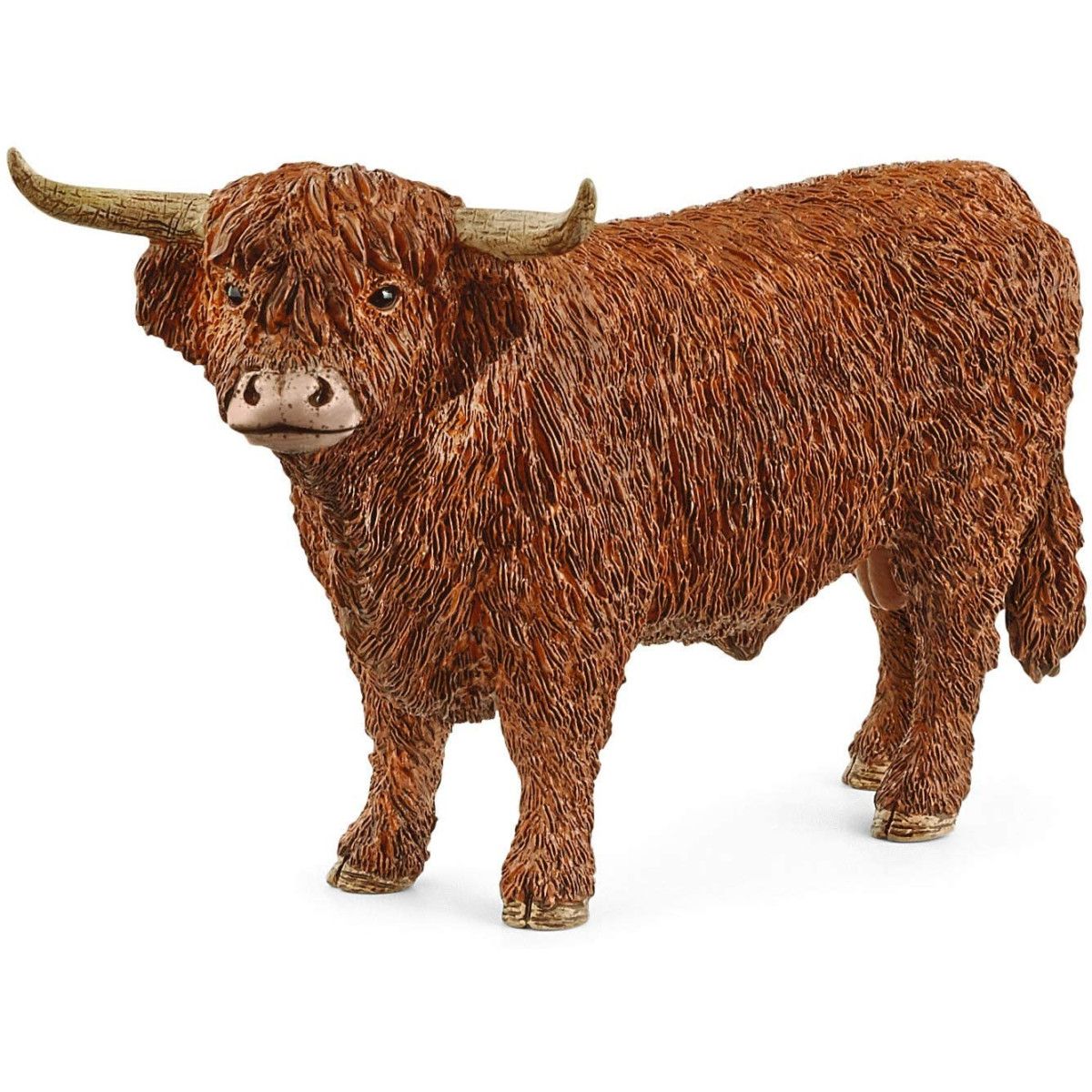 HIGHLANDER COW-UNISEX