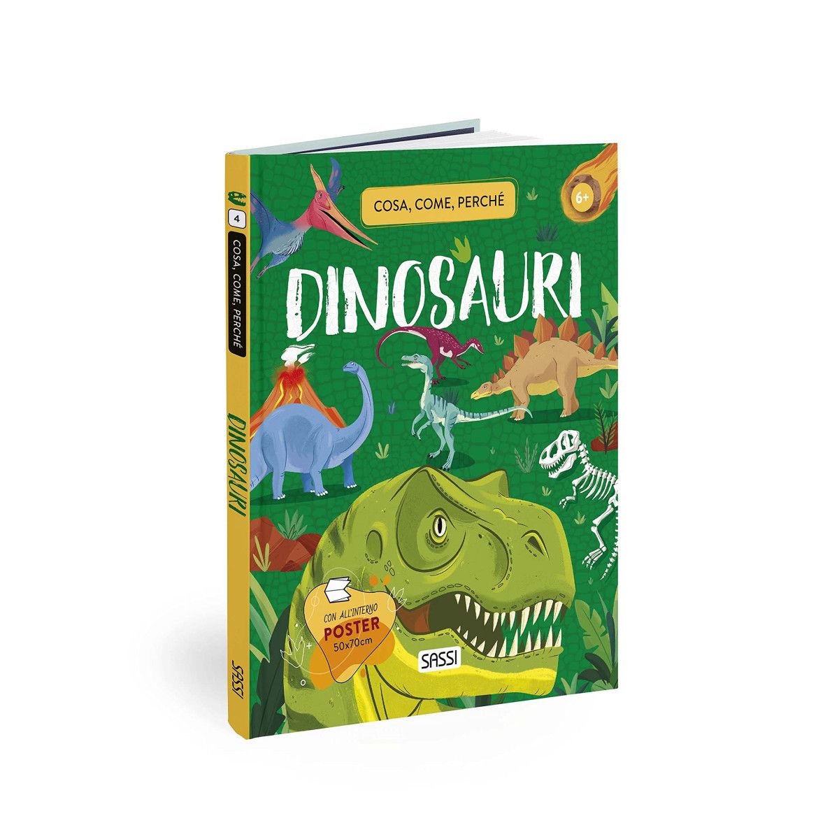 WHAT, HOW, WHY - DINOSAURS Children's Books SASSI EDITORE