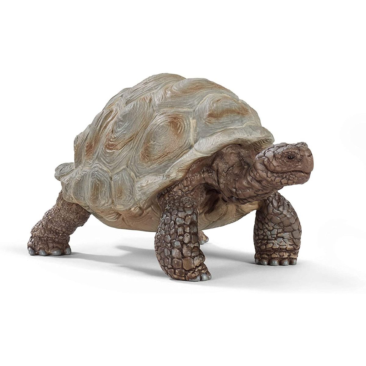 GIANT TURTLE (5)-UNISEX