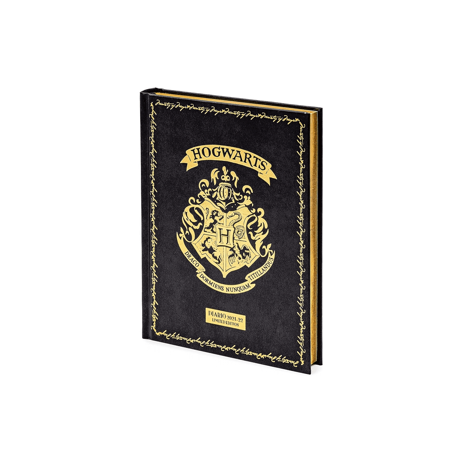 HARRY POTTER DIARY 16 MONTHS LIMITED EDITION CM 13X17,7 CARTONAT - - DIARIES/DIARIES - td-toys.it