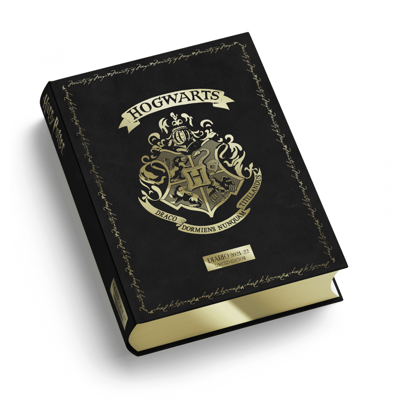 DIARIO 16 MESI 13x17,7 CART.DATA HARRY POTTER