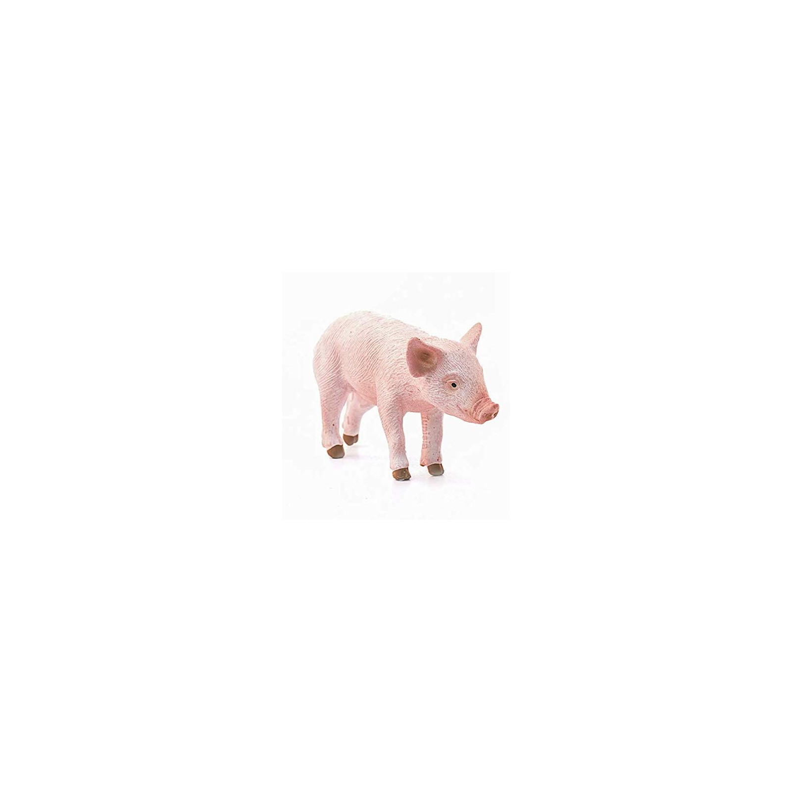 PIG STANDING (5)-UNISEX