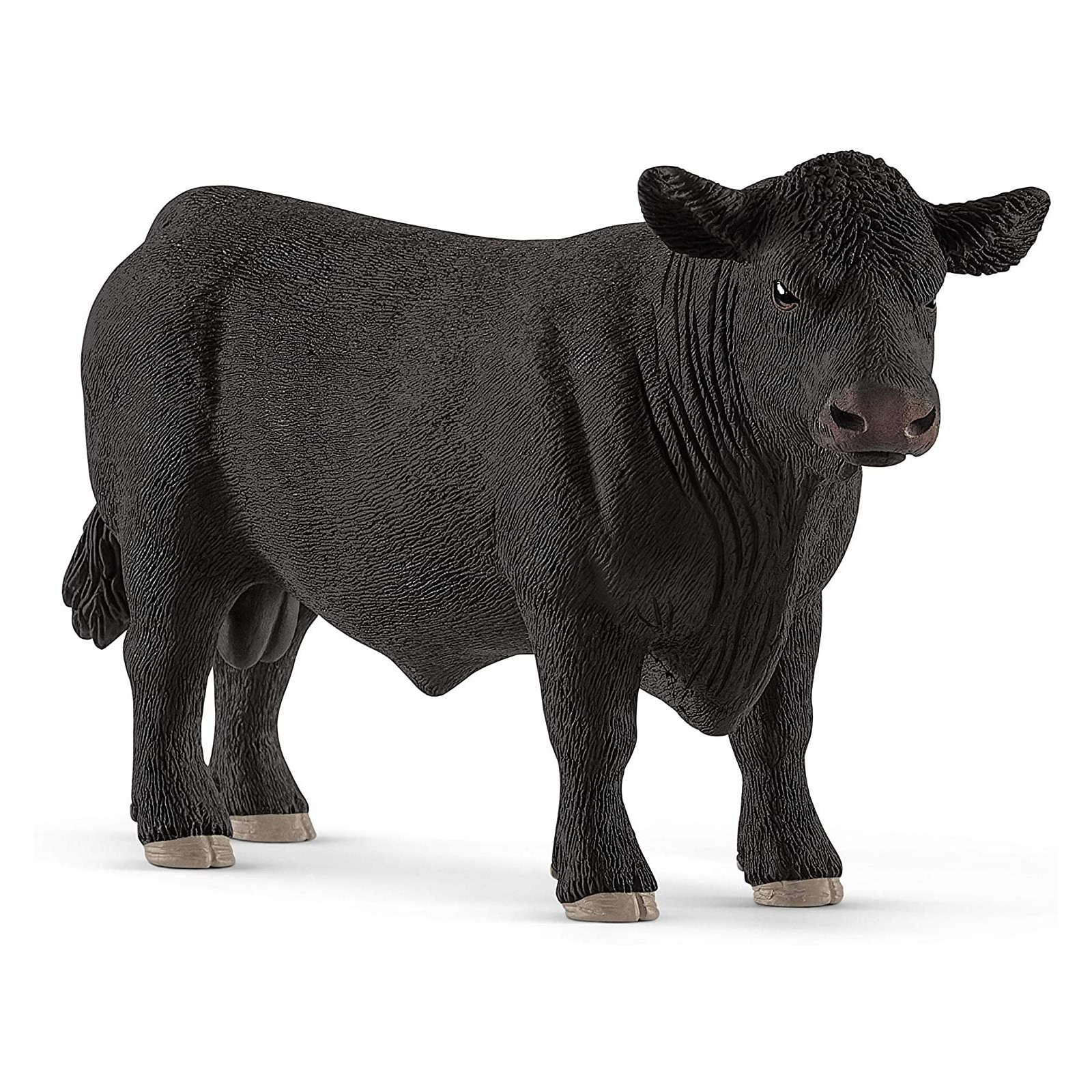 BULL BLACK ANGUS (5)-UNISEX