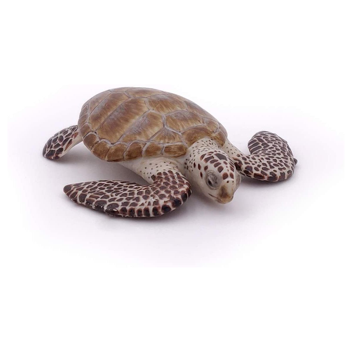 Papo - Loggerhead turtle - PAPO - UNISEX - td-toys.it