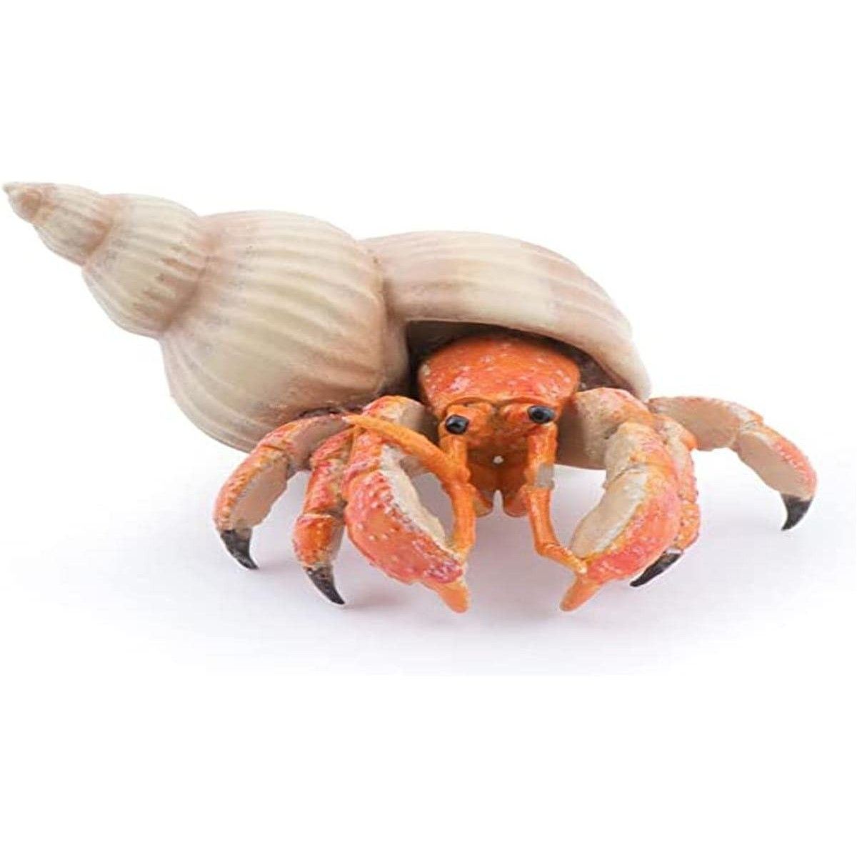 Papo - Hermit Crab - PAPO - UNISEX - td-toys.it