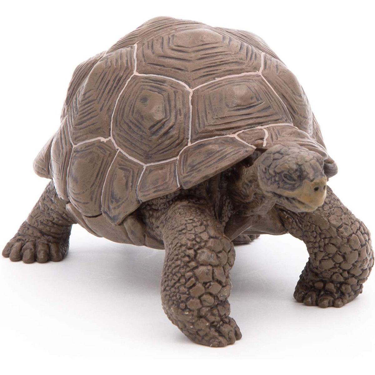 Papo - Galápagos tortoise - PAPO - UNISEX - td-toys.it