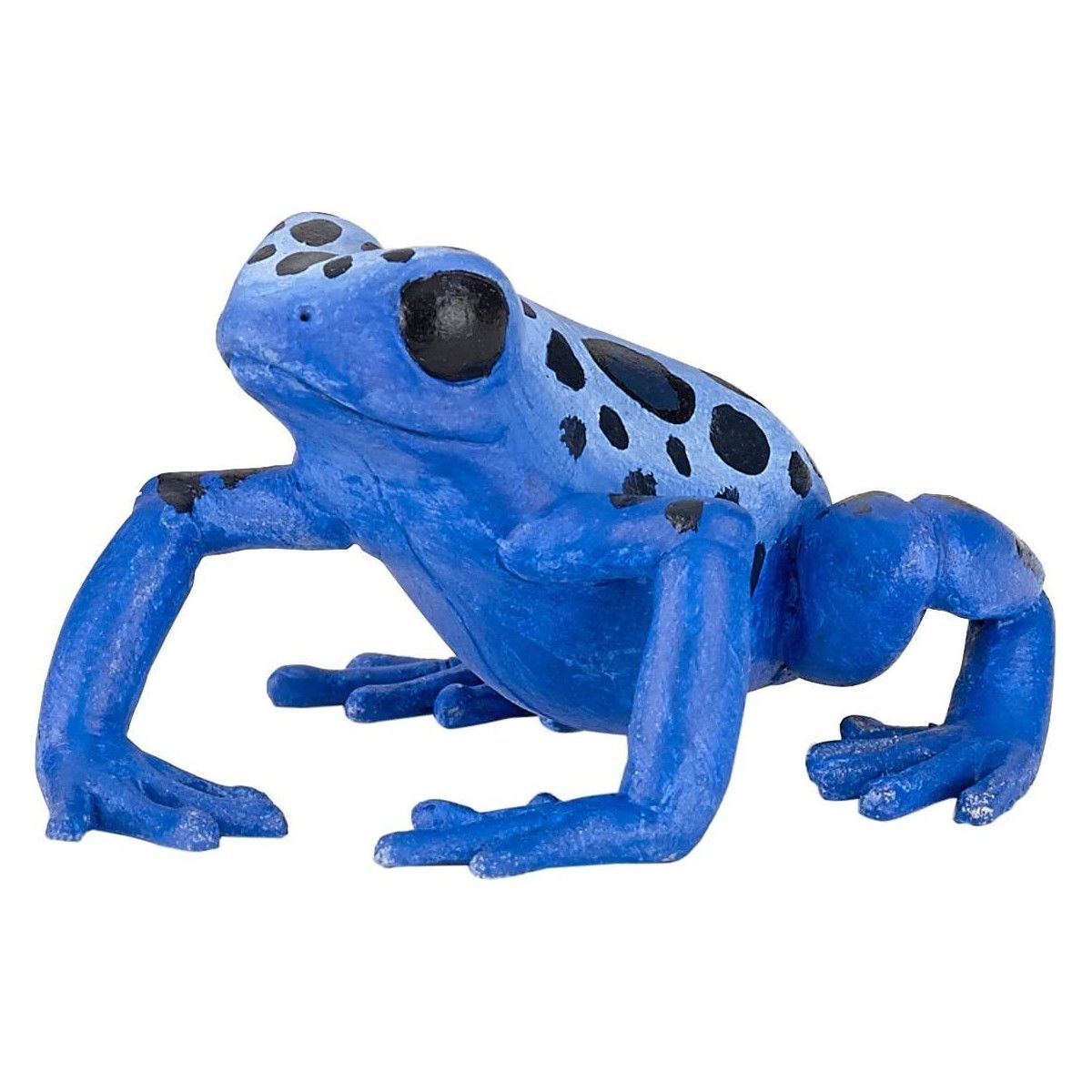 Papo - Equatorial blue frog - PAPO - UNISEX - td-toys.it