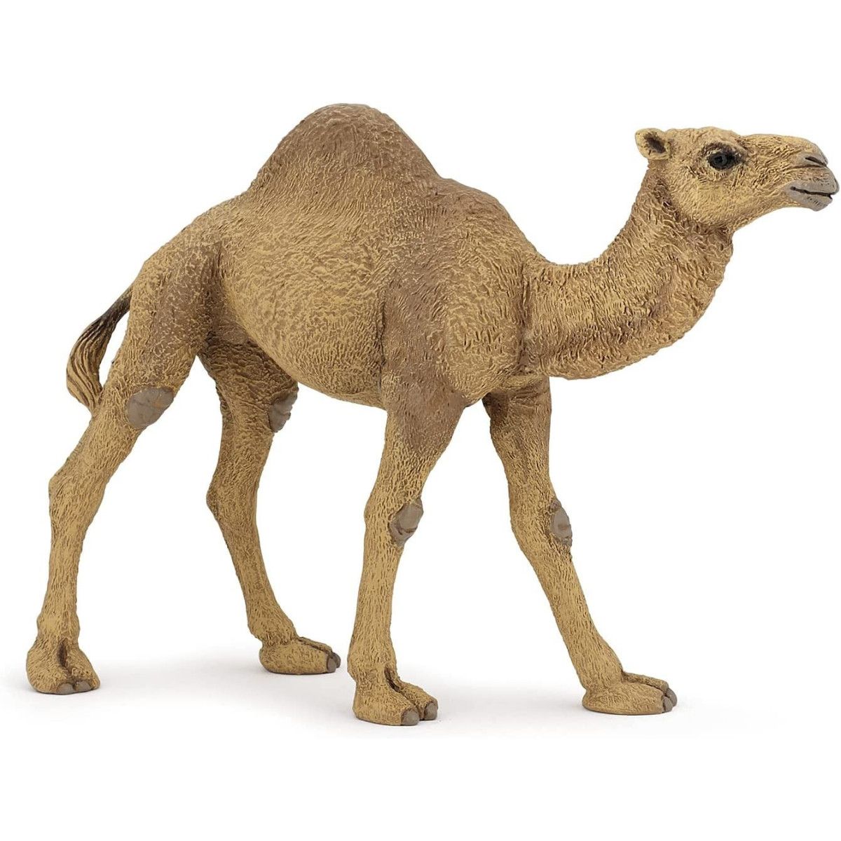 Papo - Dromedary - PAPO - UNISEX - td-toys.it