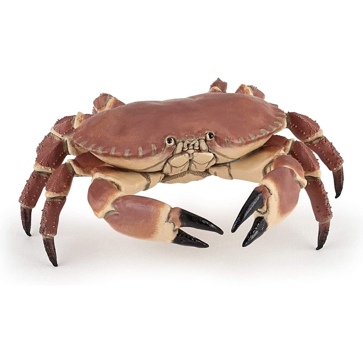 Papo - Crab - PAPO - UNISEX - td-toys.it