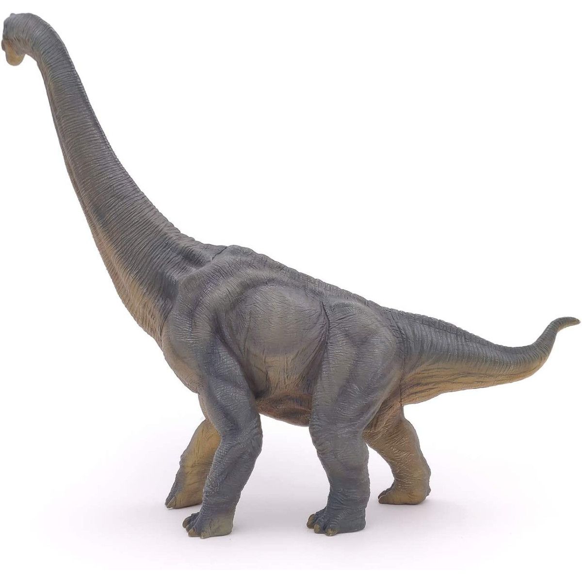 Papo - Brachiosaurus - PAPO - UNISEX - td-toys.it