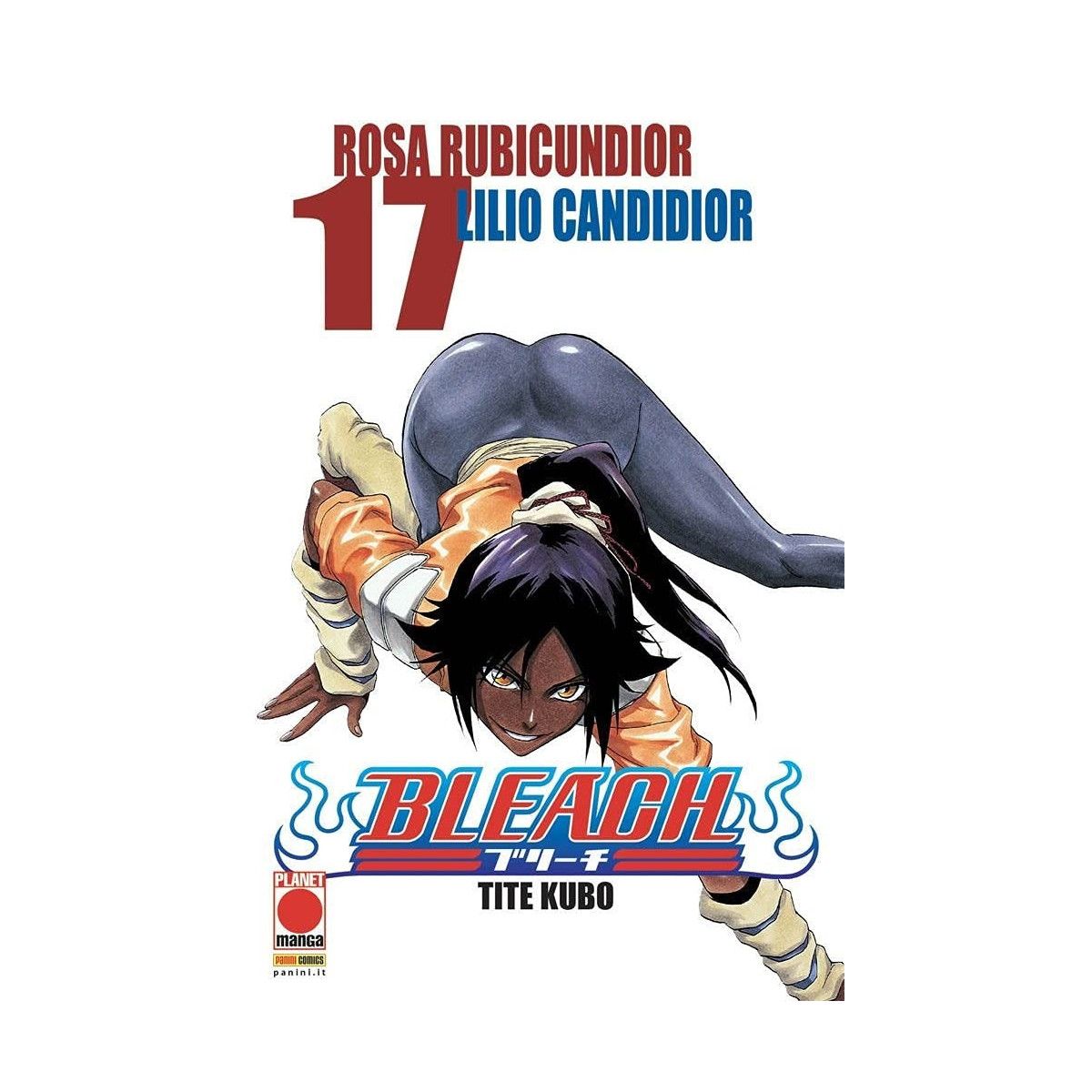 Bleach 17 - PANINI COMICS - FUMETTI MANGA - td-toys.it