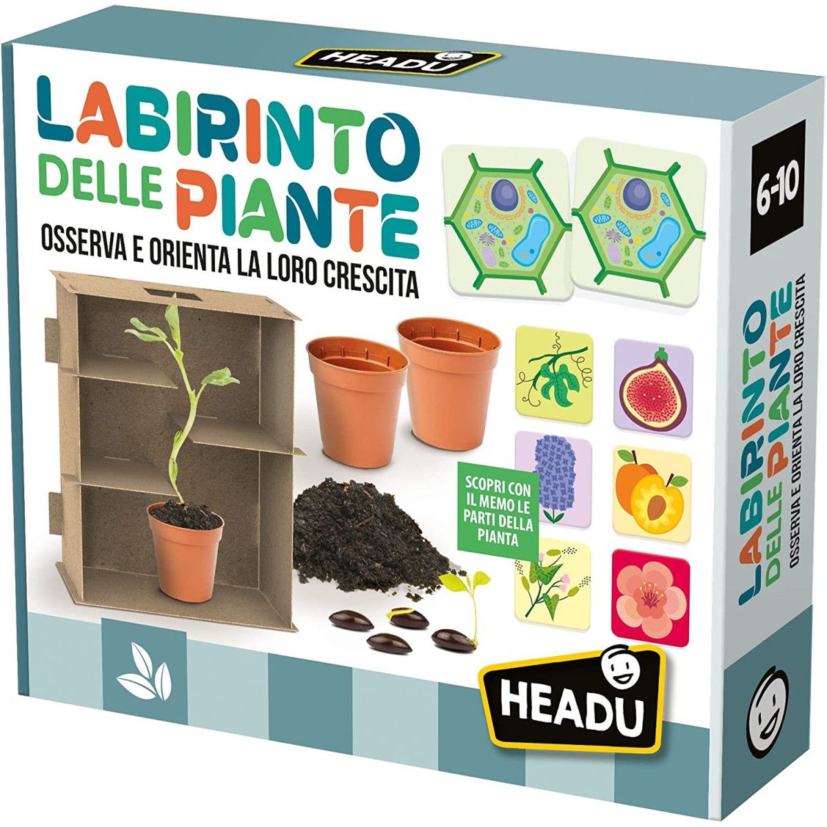 Labirinto delle Piante - HEADU - EDUCATIVI - td-toys.it