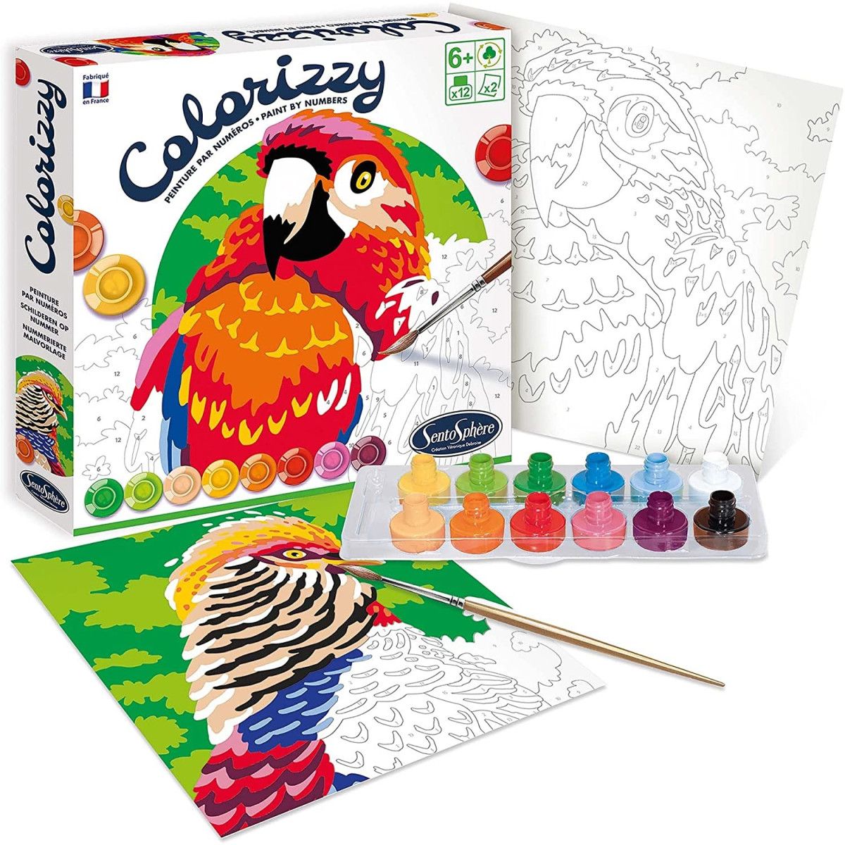 Sentosphère - Colorizzy - Oiseaux - Sentosphère - CREATIVE - td-toys.it