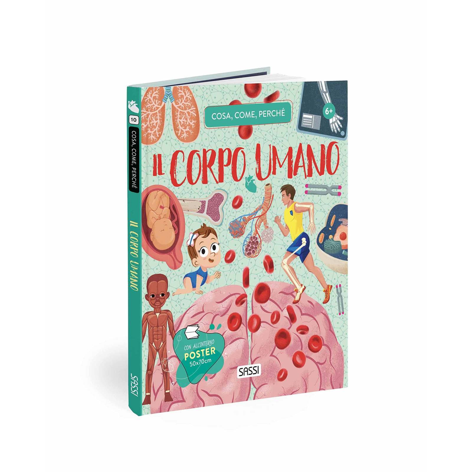 Q&A - IL CORPO UMANO - SASSI EDITORE - SASSI EDITORE - td-toys.it