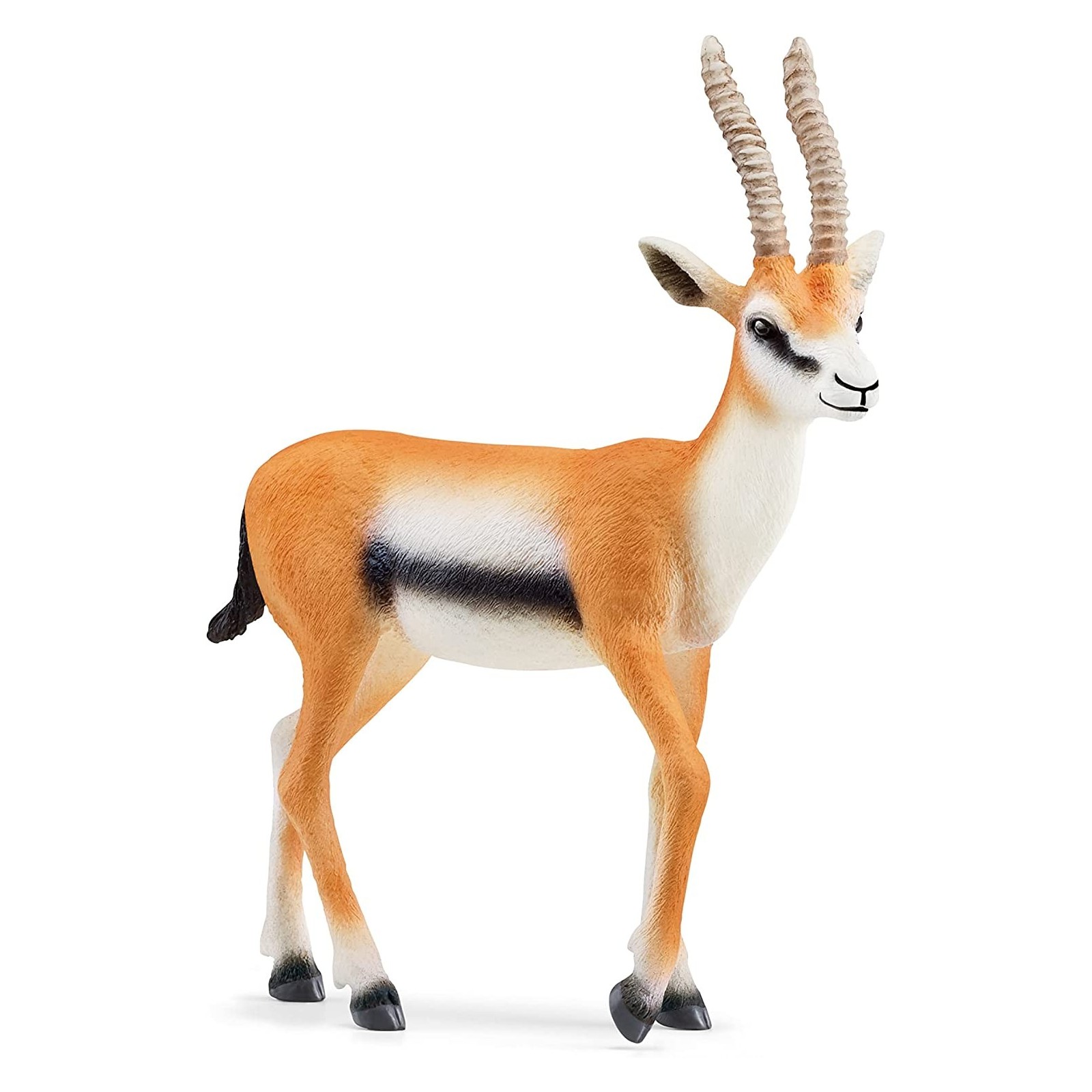 PV0115-14861 -Gazelle-UNISEX