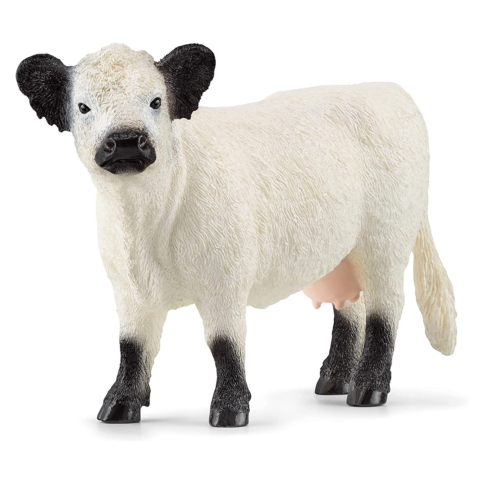 PV0115-13960 -Galloway Cattle - SCHLEICH - UNISEX - td-toys.it