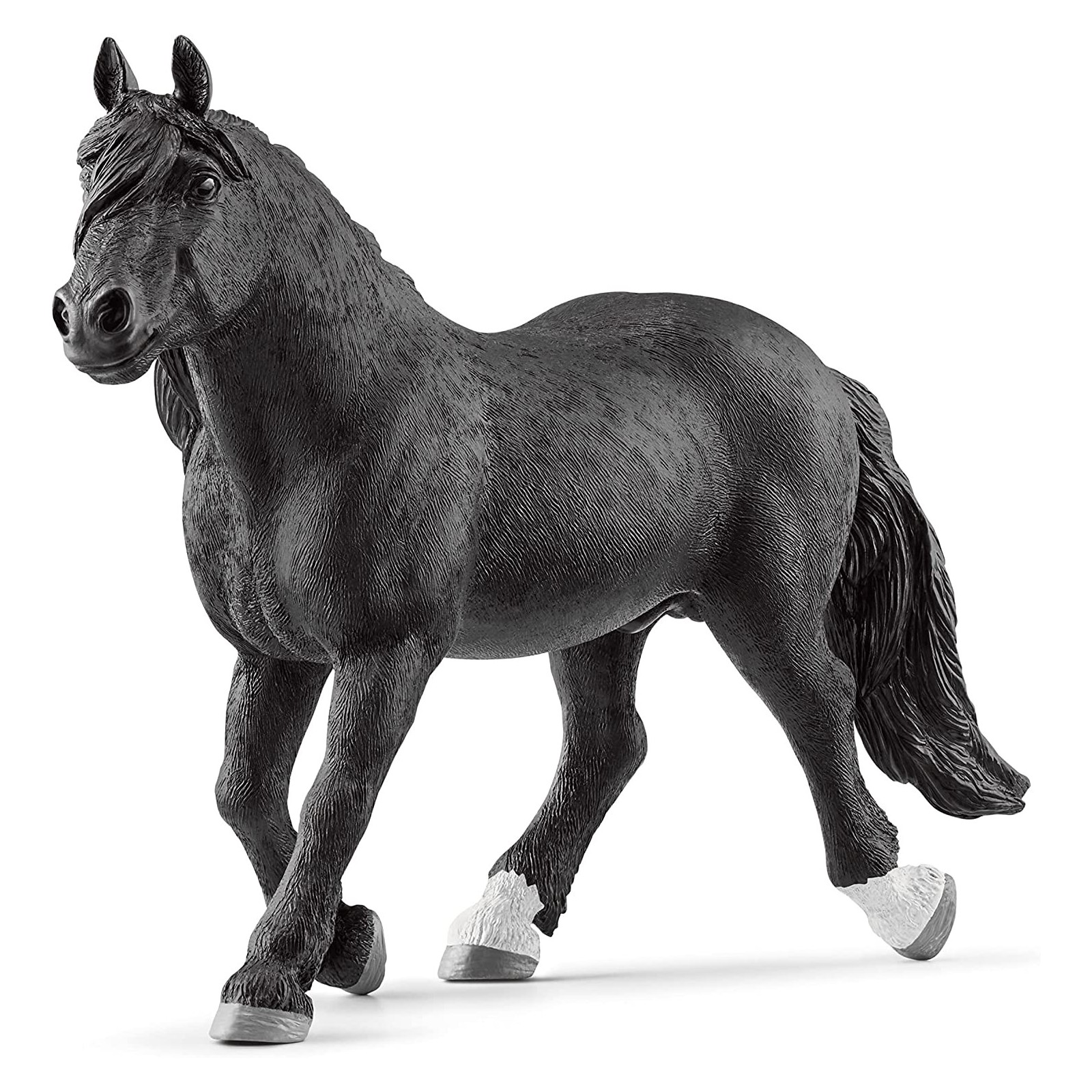 PV0115-13958 -Noriker stallion-UNISEX