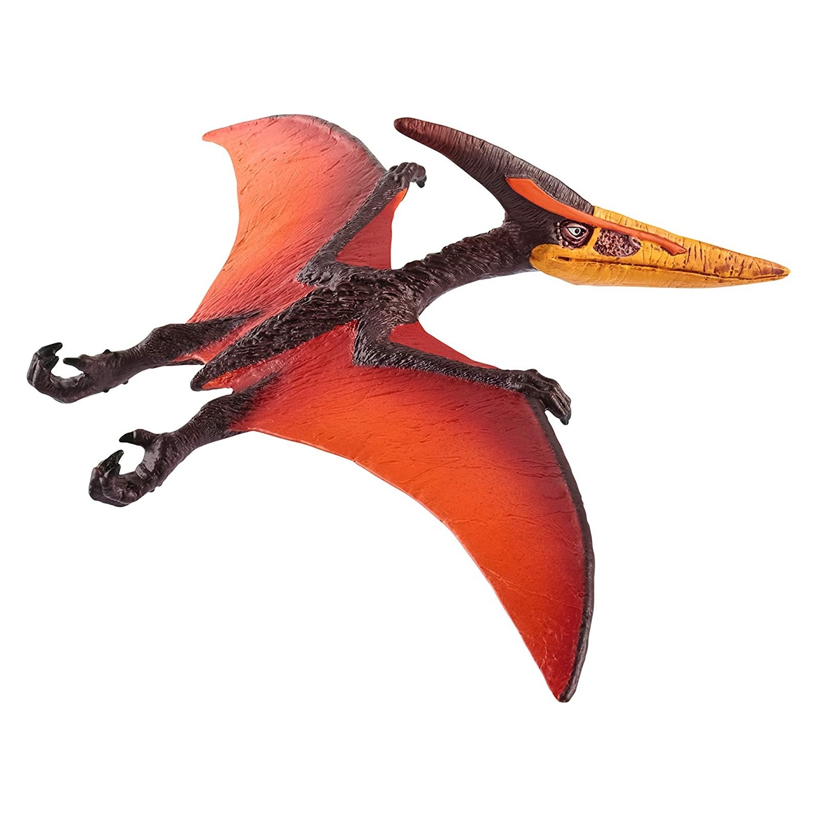 PTERANODONTE-UNISEX