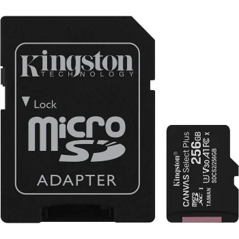 TD Toys|KINGSTON