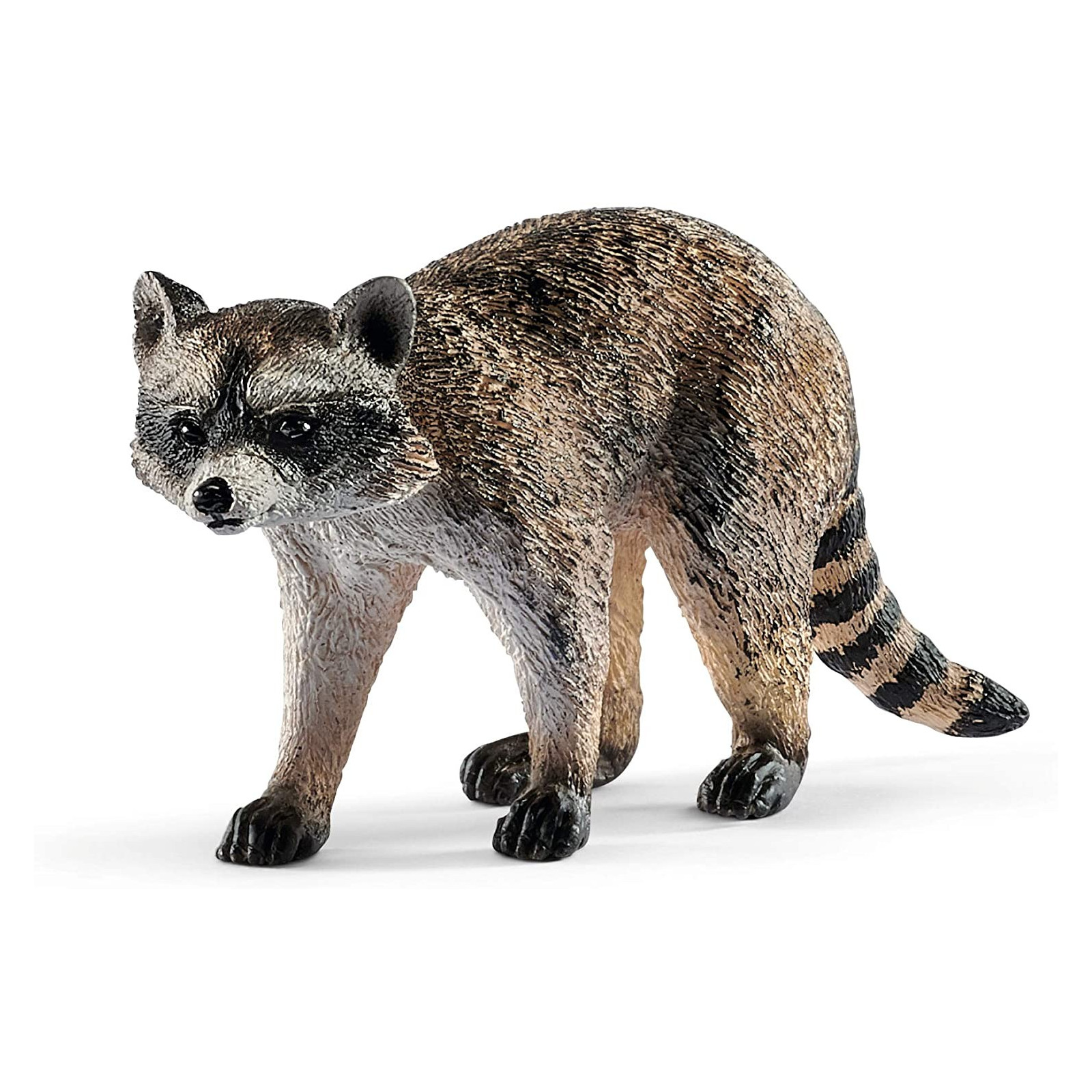 RACCOON (5)-UNISEX