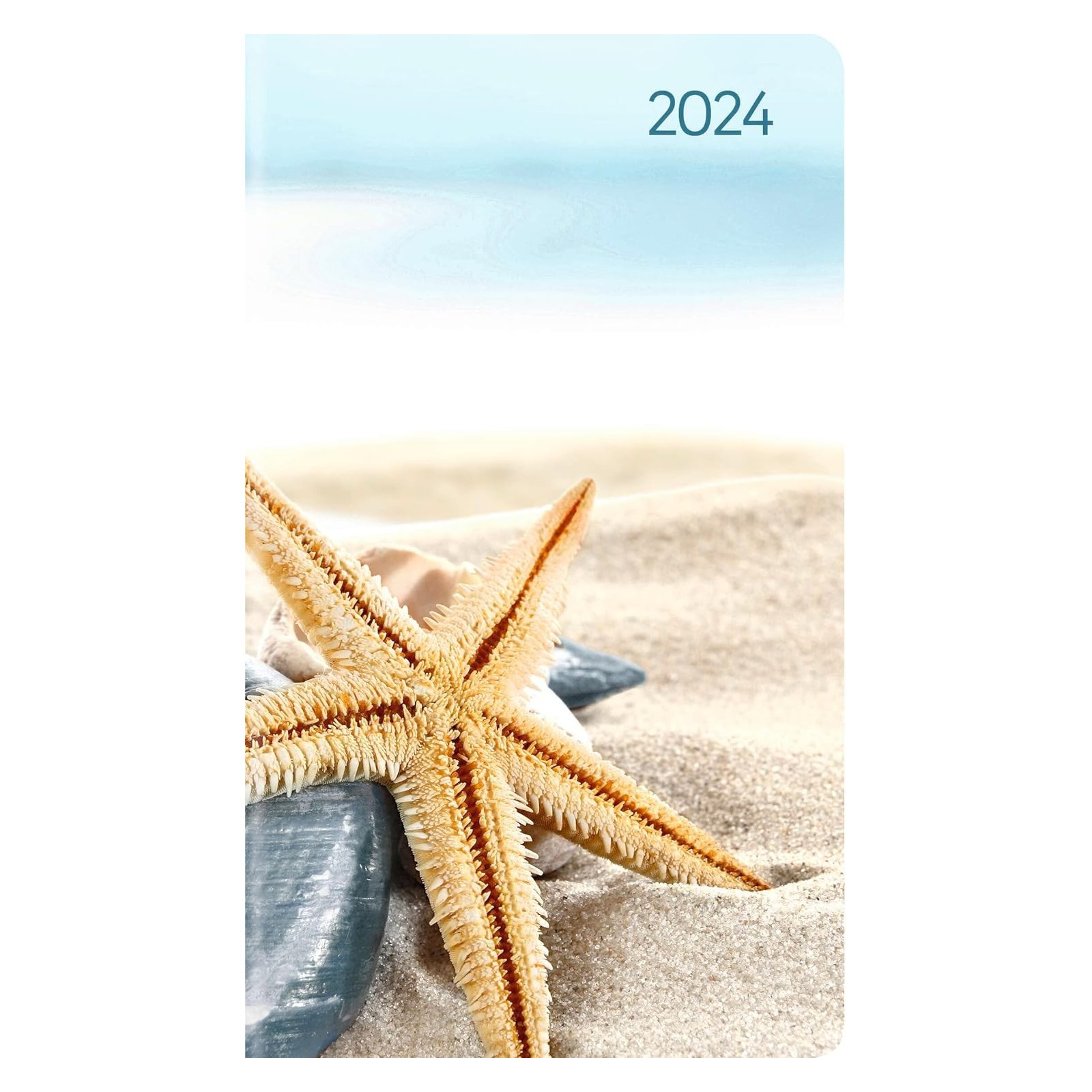 AGENDA SETT.2024 LADYT.SLIM SEA STAR A.EDI. - FRANCO COSIMO PANINI - ARTICOLI DA REGALO - td-toys.it