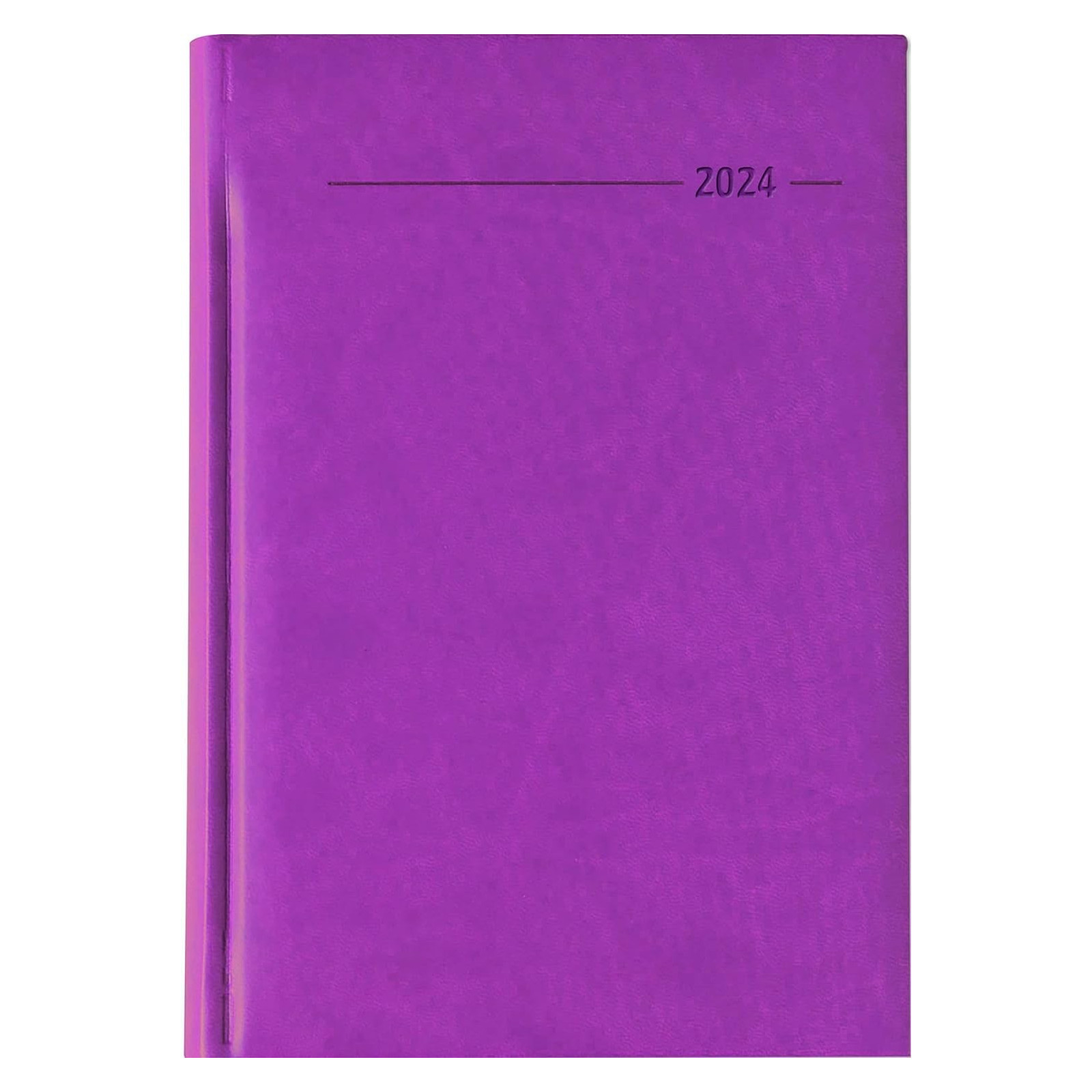 AGENDA GIORN.2024 LARGE TUCSON ROSA A.EDI. - FRANCO COSIMO PANINI - ARTICOLI DA REGALO - td-toys.it