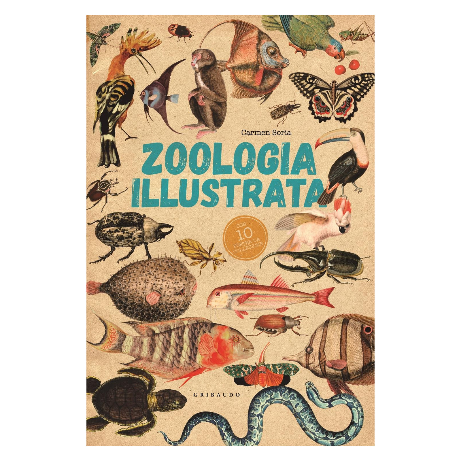 ZOOLOGIA ILLUSTRATA - GRIBAUDO - LIBRI - td-toys.it