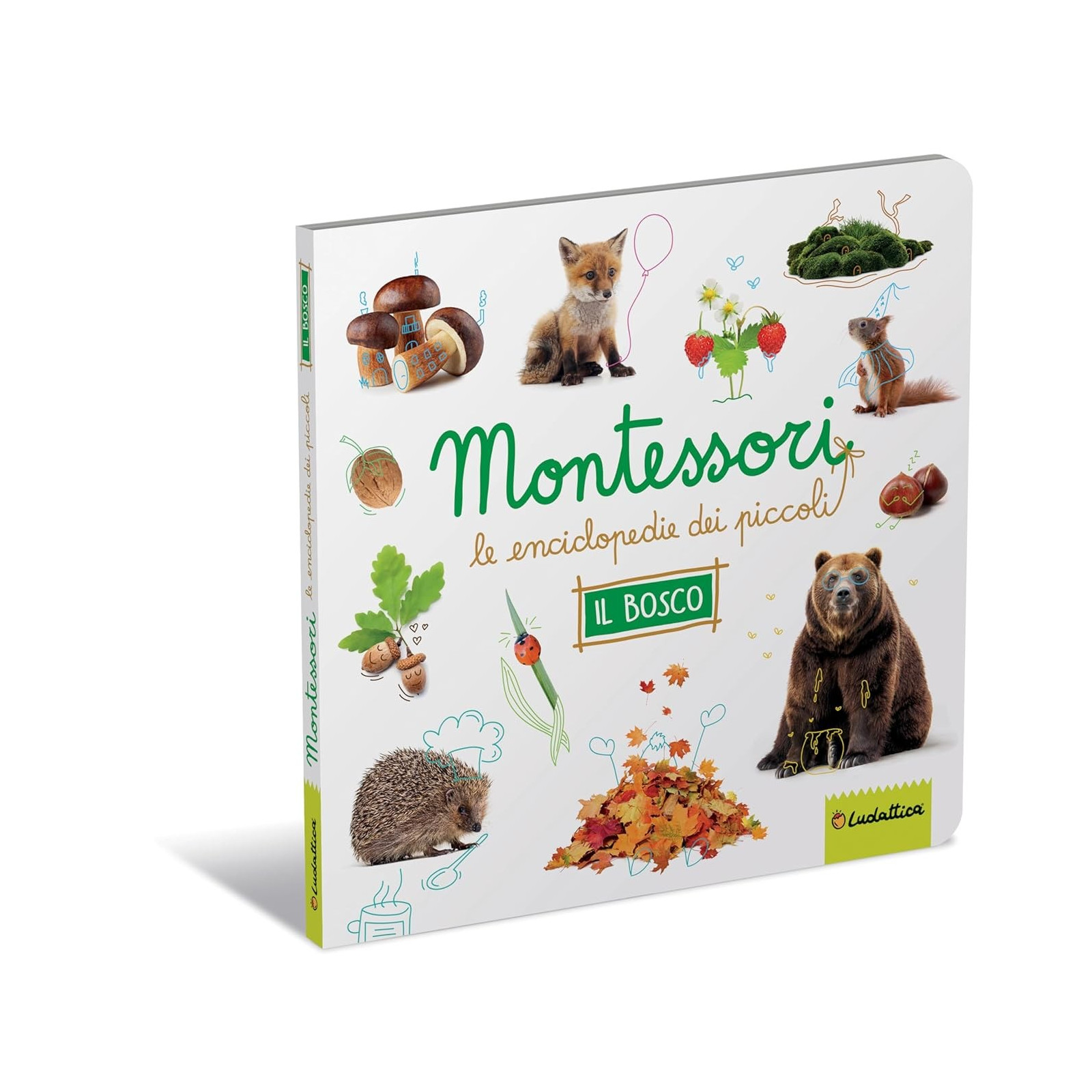 MONTESSORI L'ENCICLOPEDIE DEI PICCOLI - EDUCATIONAL - BOOKS - td-toys.it