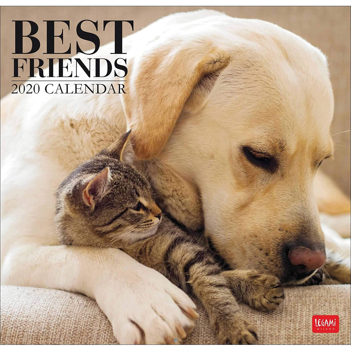 CALENDAR 2020 - 30X29 cm BESTFRIENDS - - Negozio - td-toys.it