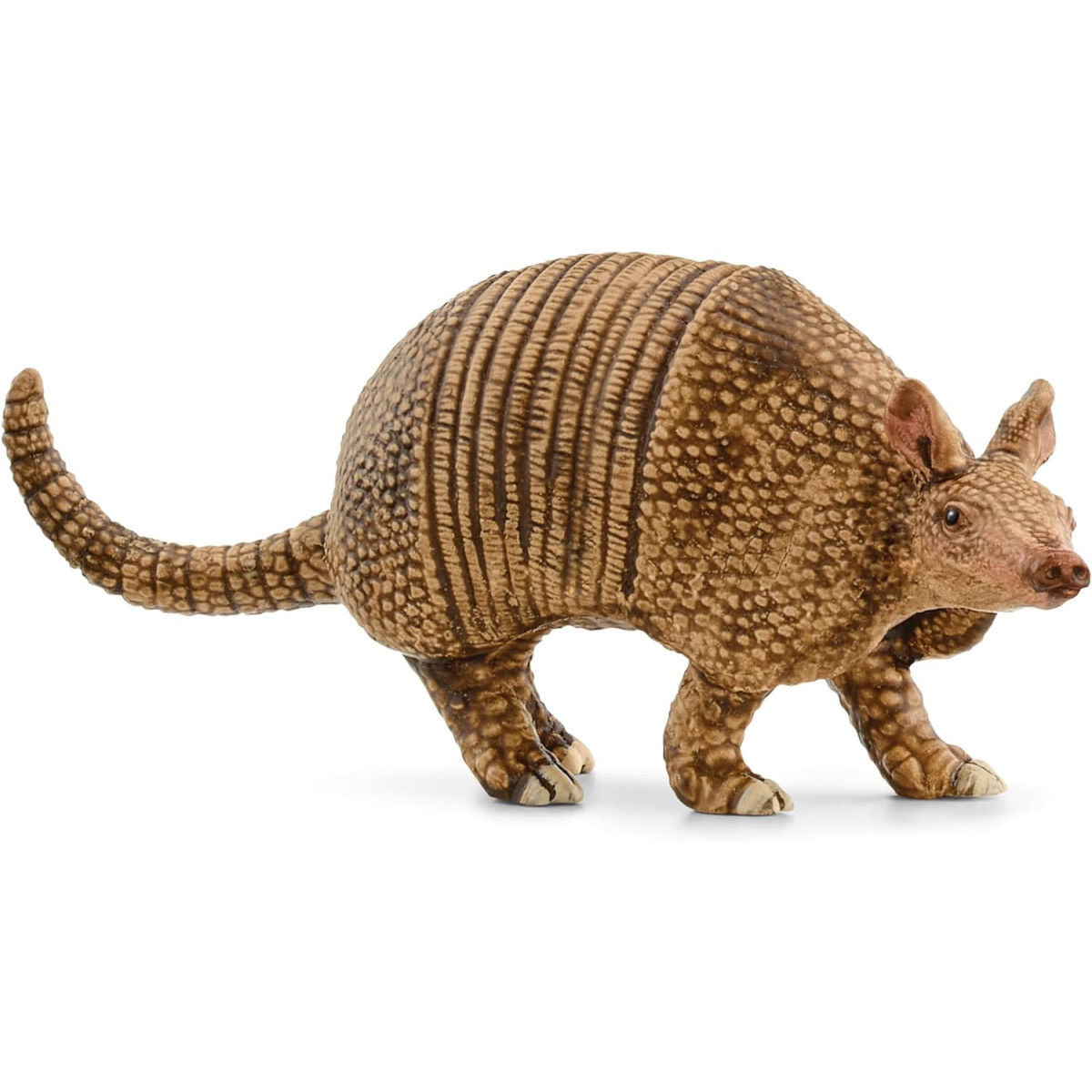 Armadillo-UNISEX