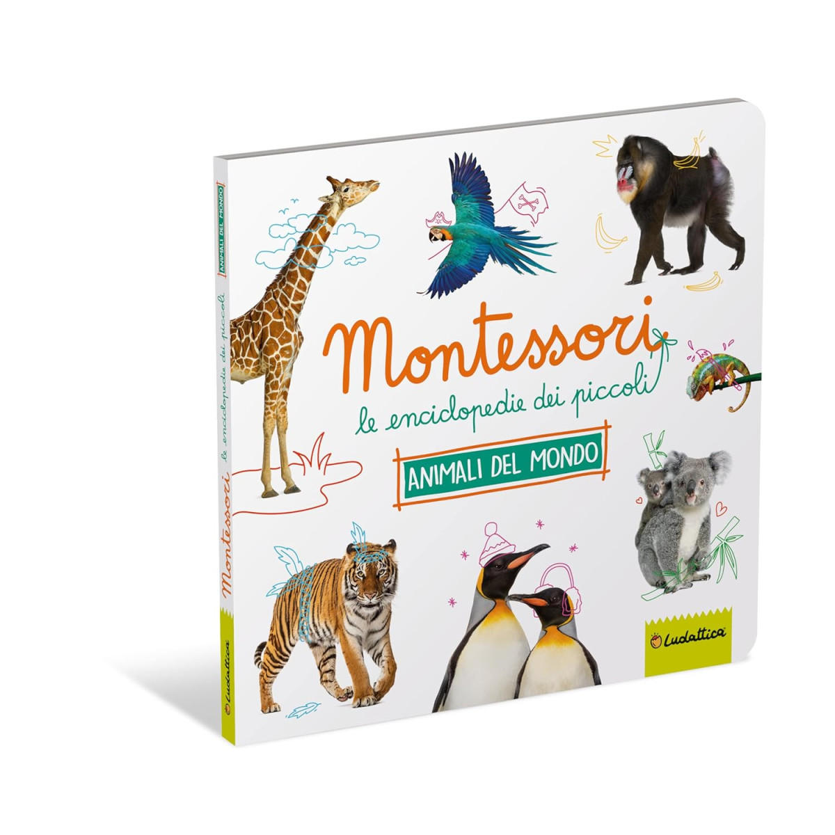 MONTESSORI - Le enciclopedie dei piccoli - Animali dal mondo | LIBR...