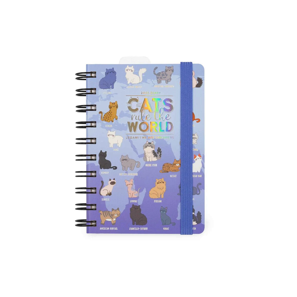 AGENDA 12 MESI - 2025 - SMALL DAILY SPIRAL BOUND DIARY - KITTY | LE...