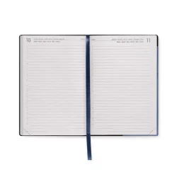 TD Toys|AGENDA 12 MESI - 2025 - MEDIUM DAILY DIARY - BLUEBERRY8052694013066