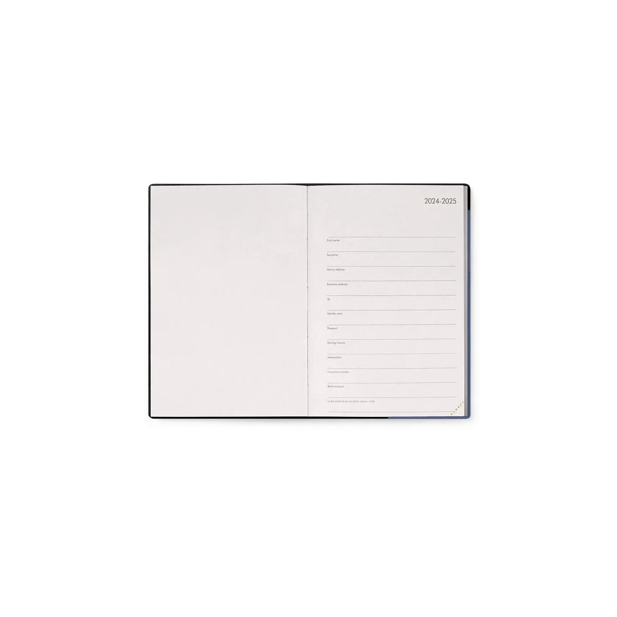 TD Toys|AGENDA 12 MESI - 2025 - MEDIUM DAILY DIARY - BLUEBERRY8052694013066