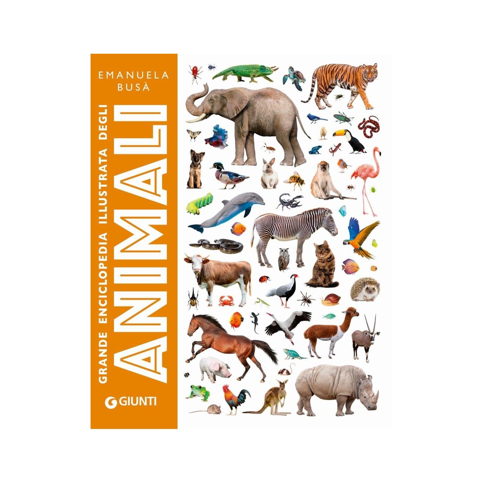 Grande enciclopedia illustrata degli animali