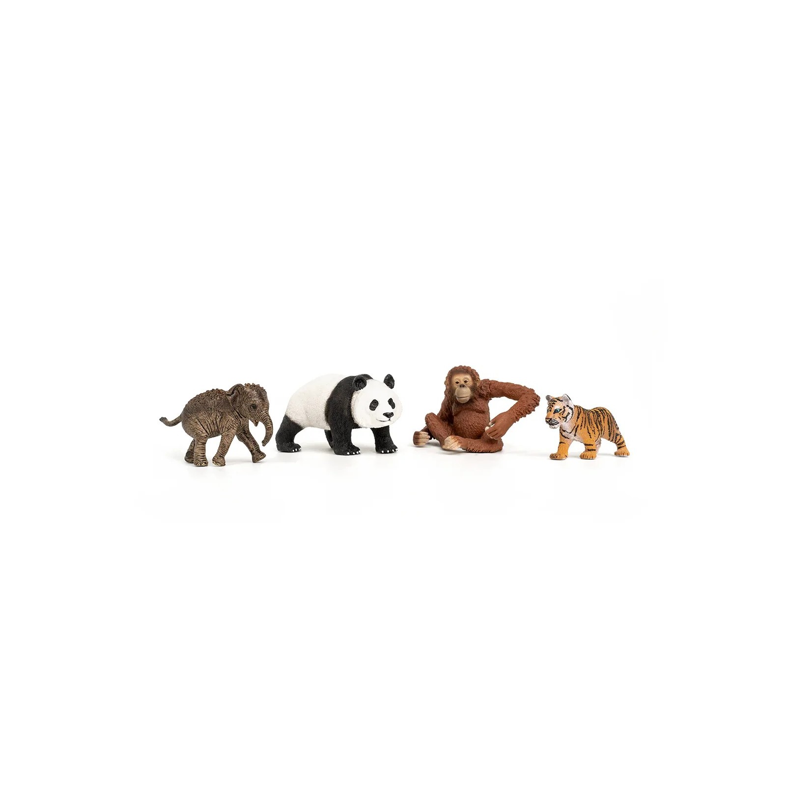 PV0108-42736 - Wild Life Asia Starter Set