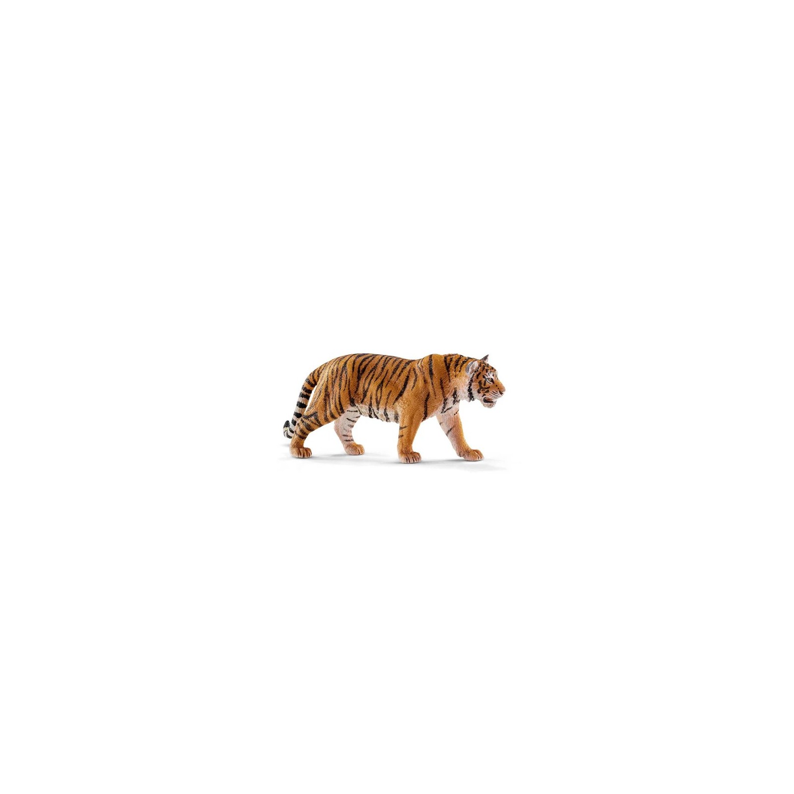 PV0108-14729 - Tiger