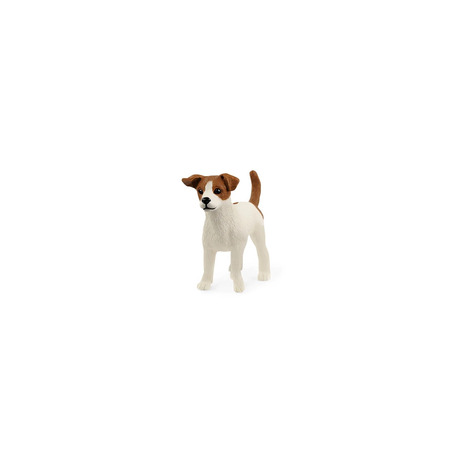 PV0105-13916 - Jack Russell Terrier-UNISEX