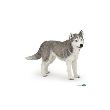 Papo - Siberian Husky-GIOCATTOLI UNISEX- TD Toys