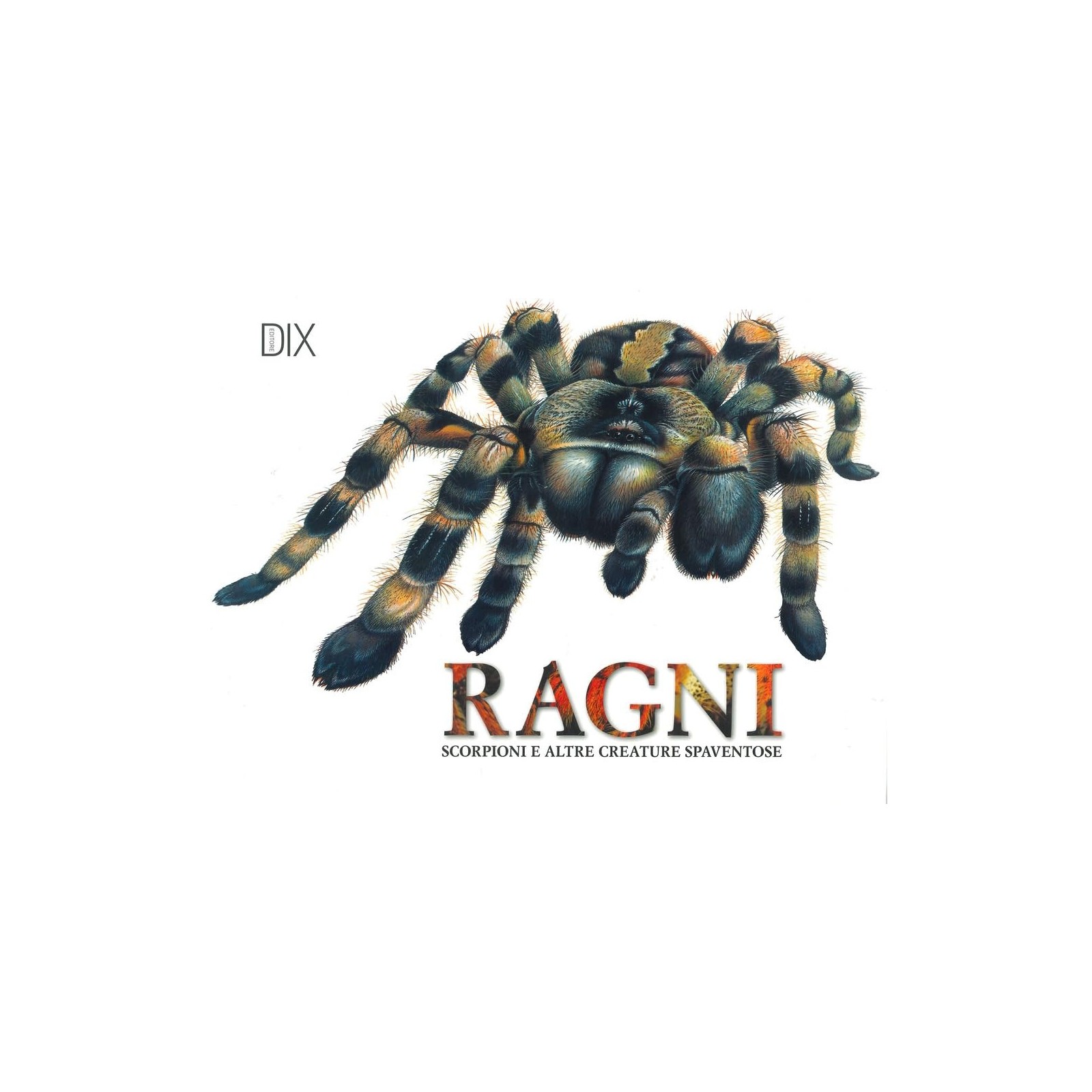 Ragni, scorpioni o altre creature spaventose