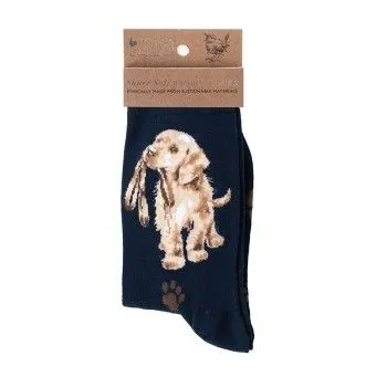 Dog Sock - Hopeful - NAVY by Wrendale | SOCKS & Collectibles - TD Toys