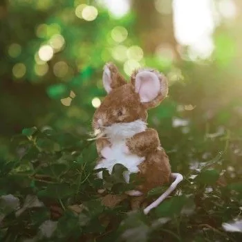 TD Toys|Mouse - Medium Plush5056272925454